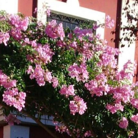Casa Bignonia Villa Salteras Kültér fotó