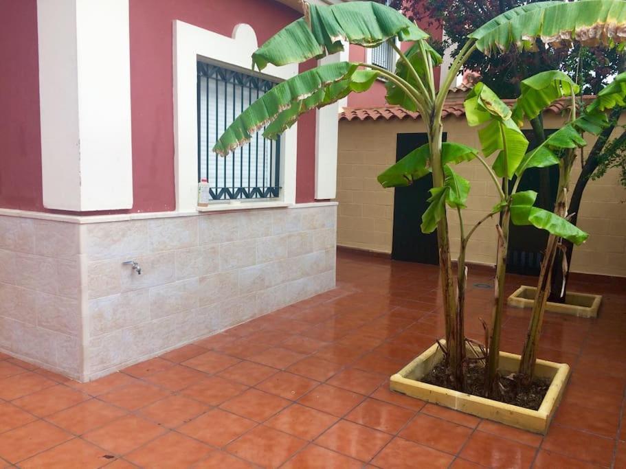 Casa Bignonia Villa Salteras Kültér fotó
